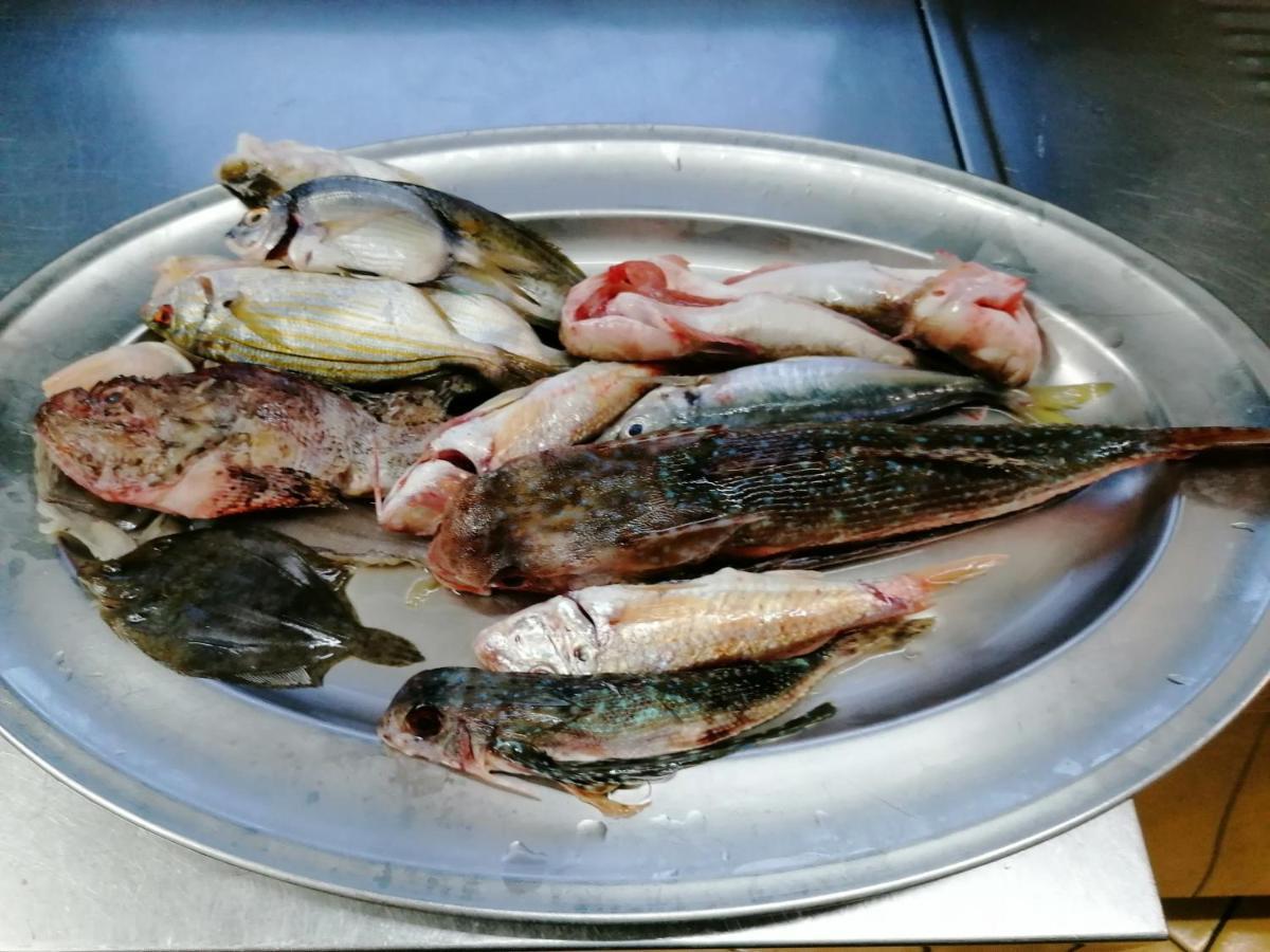 Hotel Posidonia سابري المظهر الخارجي الصورة